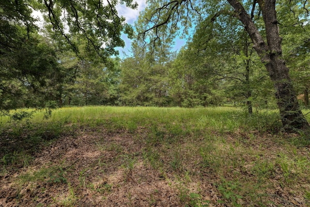 263 W Fm 27th Hwy, Fairfield, TX 75840