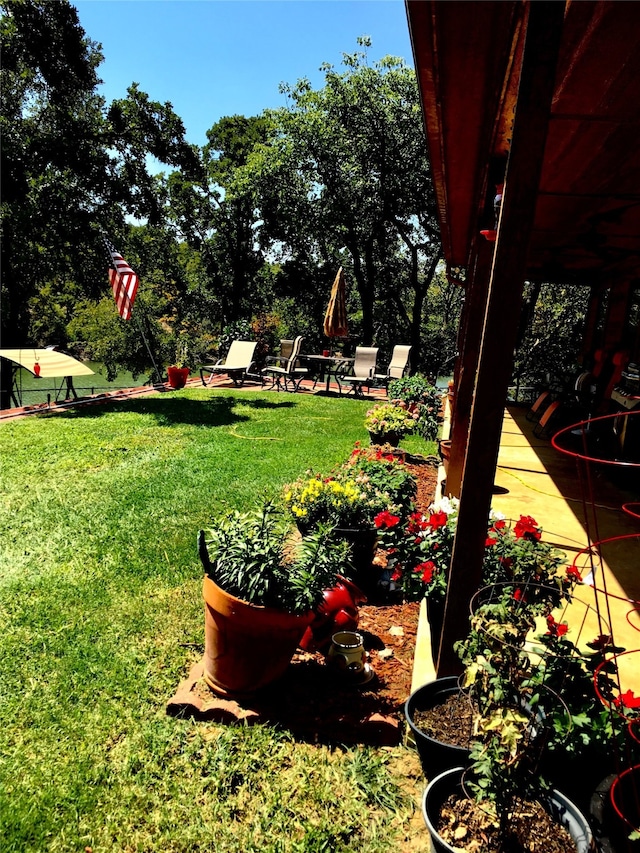 1026 County Road 1744, Chico, TX 76431 - view of grassy yard