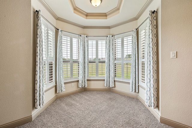10601 San Simeon Ln, Fort Worth, TX 76179 - carpeted spare room featuring healthy amount of natural light, a raised ceiling, a textured wall, and ornamental molding