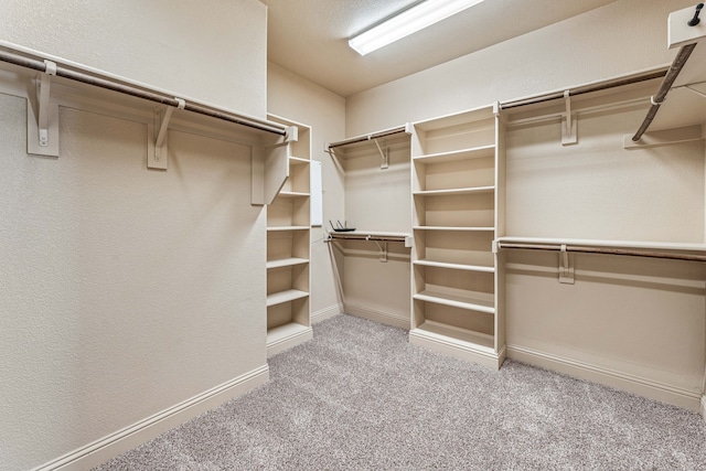 10601 San Simeon Ln, Fort Worth, TX 76179 - walk in closet featuring light colored carpet