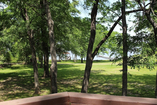 1147 Rs County Road 3503, Emory, TX 75440 - view of grassy yard