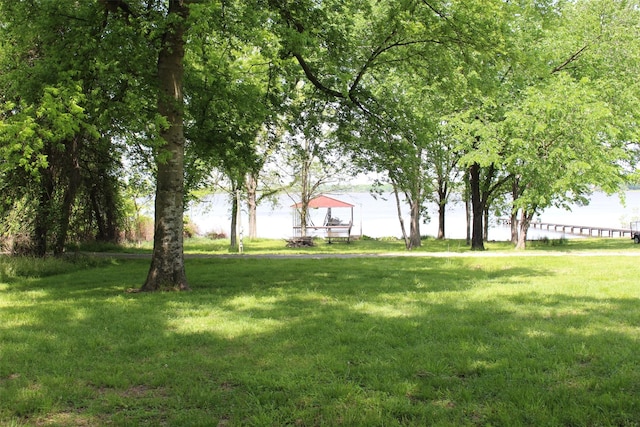 1147 Rs County Road 3503, Emory, TX 75440 - view of green lawn