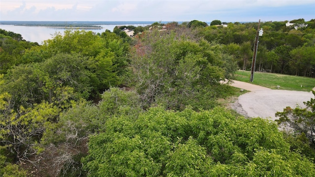 3039 Ash Ct, Whitney, TX 76692