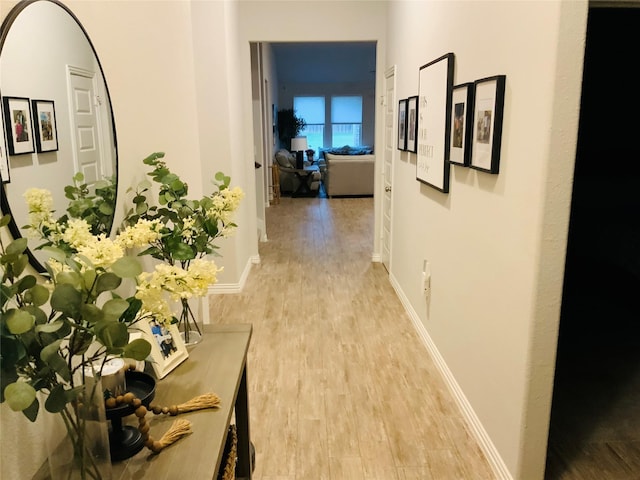 120 Black Alder Dr, Fort Worth, TX 76131 - corridor with light wood-style floors and baseboards