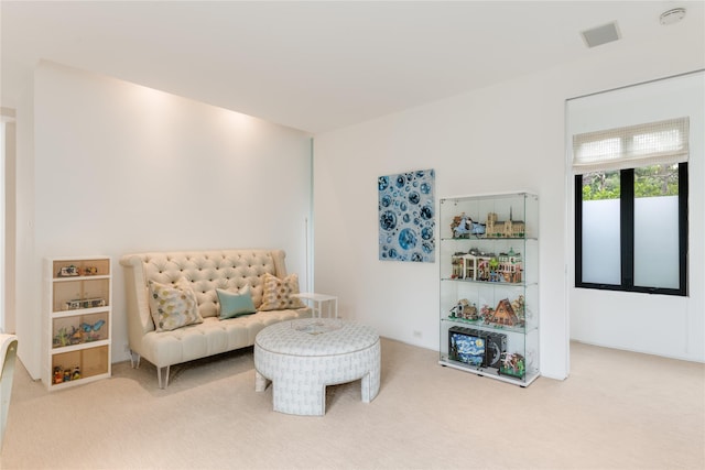 sitting room featuring carpet