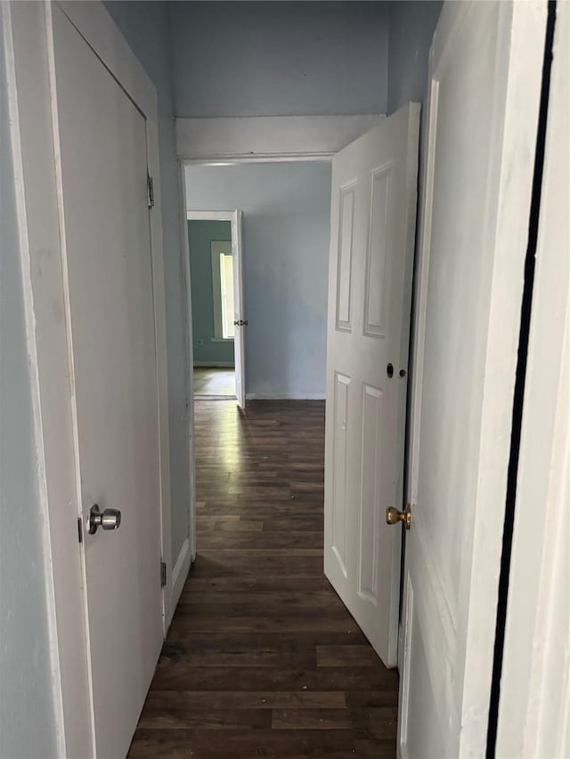corridor featuring dark wood-style flooring