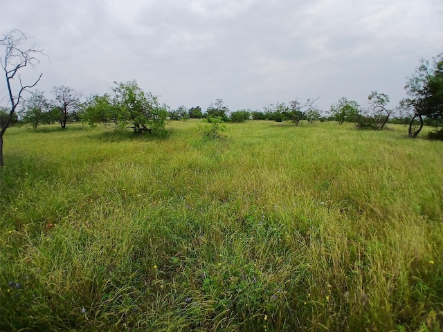8112 Fm 2114, Hubbard, TX 76648