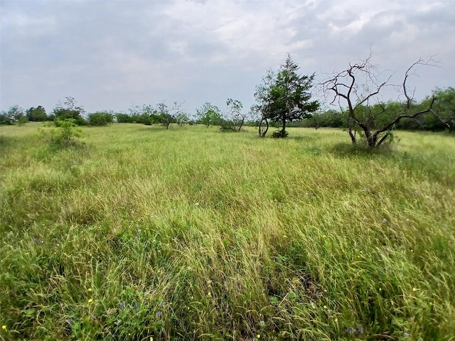 8112 Fm 2114, Hubbard, TX 76648