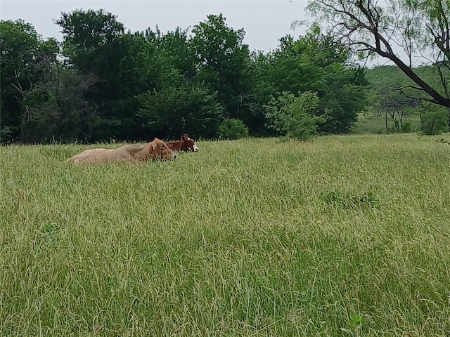 8112 Fm 2114, Hubbard, TX 76648
