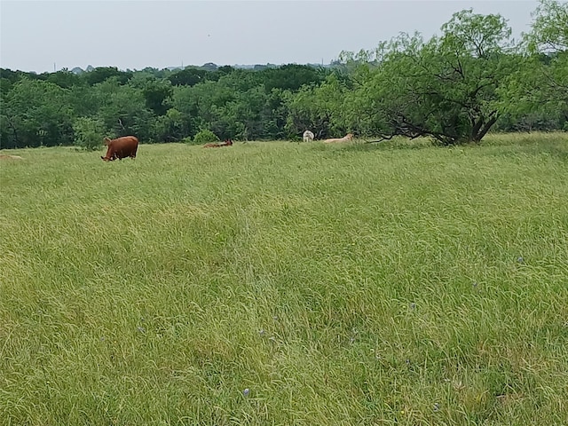 8112 Fm 2114, Hubbard, TX 76648