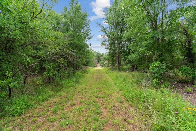 400 Round Up Ct, Stephenville, TX 76401 - view of undeveloped land