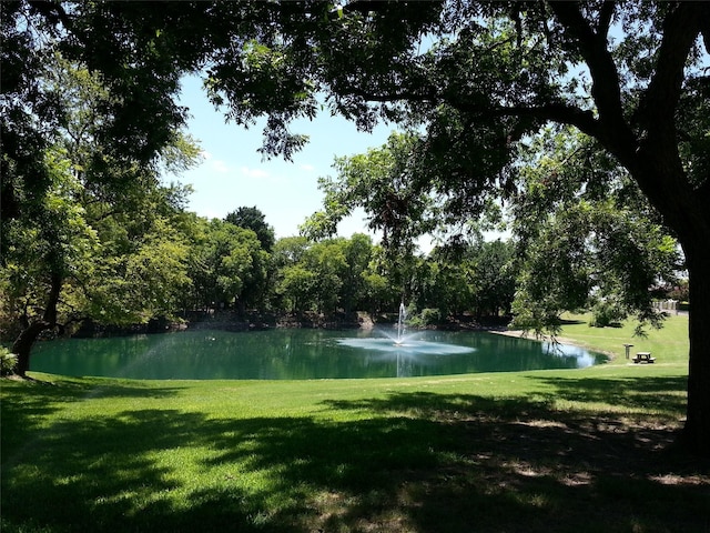 135 Freedom Ct, Rockwall, TX 75032 - surrounding community featuring a water view and a yard
