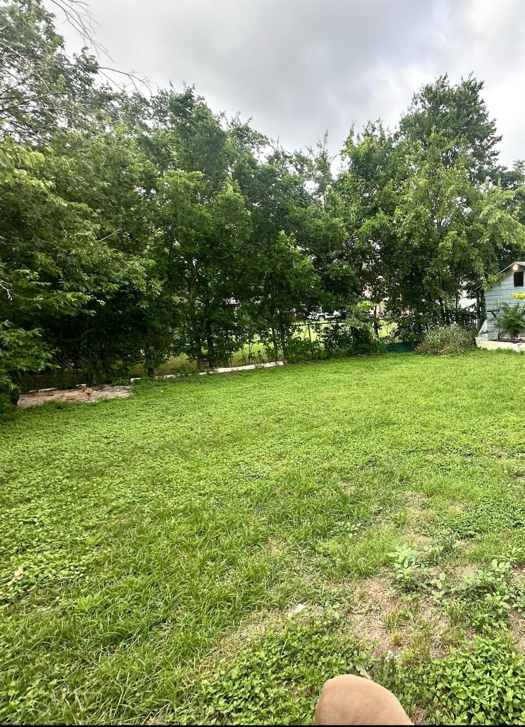2520 Refugio Ave, Fort Worth, TX 76164 - view of grassy yard