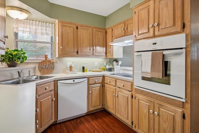 2827 Pritchett Dr, Irving, TX 75061 - kitchen featuring white appliances, under cabinet range hood, dark wood finished floors, a sink, and light countertops