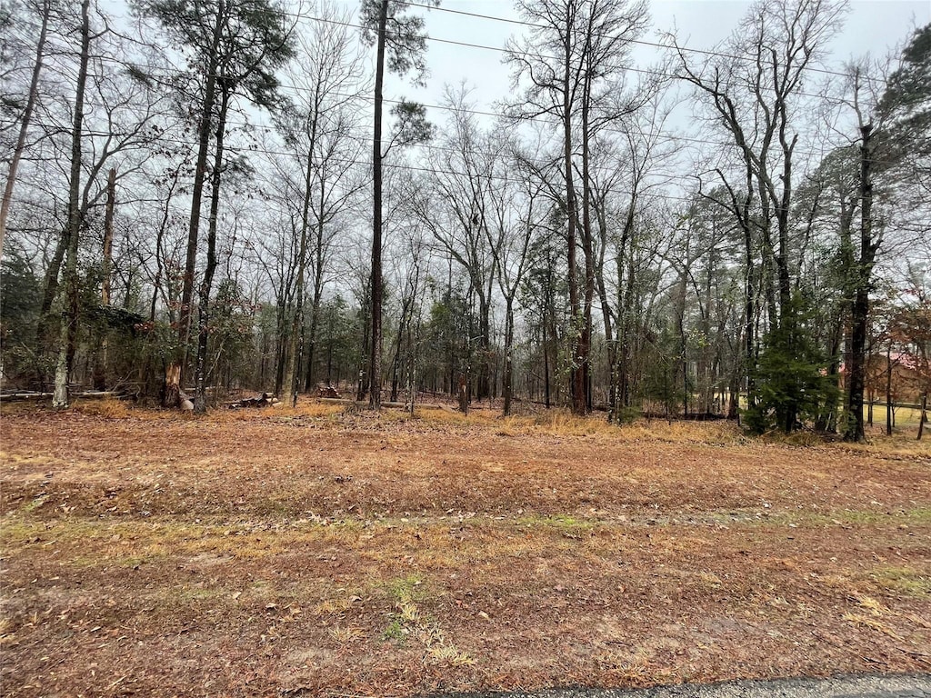 TBD King Sebastion Rd, Scroggins, TX 75480