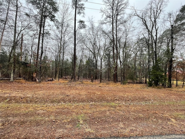 TBD King Sebastion Rd, Scroggins, TX 75480