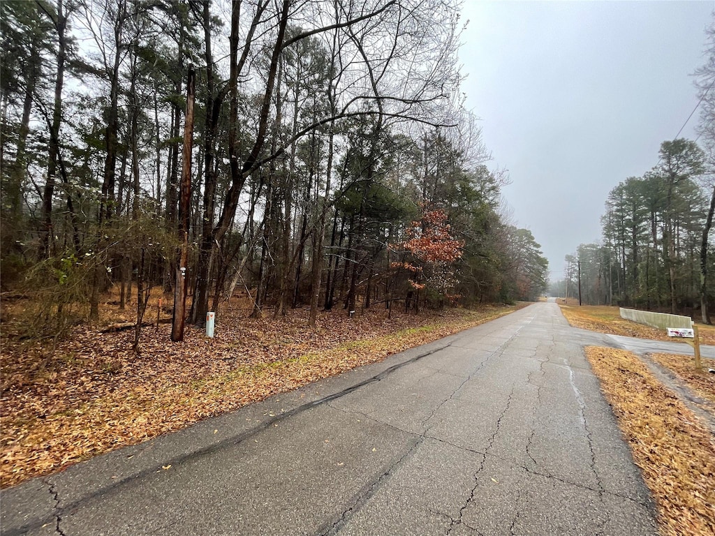 TBD King Sebastion Rd, Scroggins, TX 75480