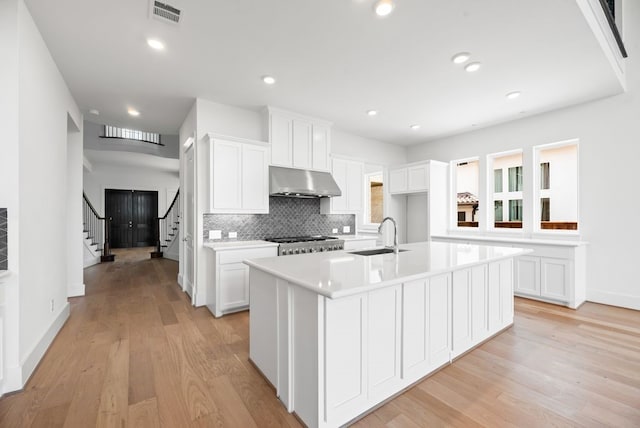 1758 Cousins Trl, Frisco, TX 75034 - kitchen featuring a sink, under cabinet range hood, light wood finished floors, baseboards, and recessed lighting