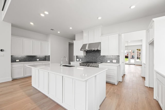 1758 Cousins Trl, Frisco, TX 75034 - kitchen featuring a sink, under cabinet range hood, light countertops, tasteful backsplash, and light wood finished floors