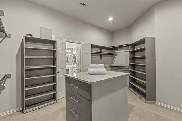 spacious closet with light carpet