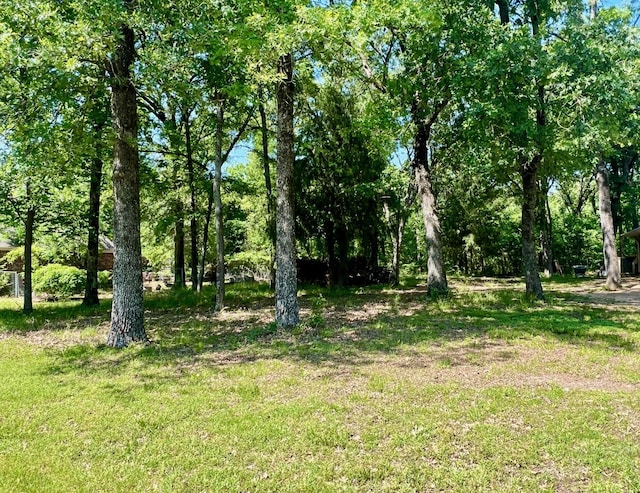 LOT202 Lakeview Dr, Trinidad, TX 75163