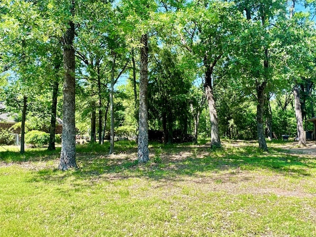 LOT202 Lakeview Dr, Trinidad, TX 75163