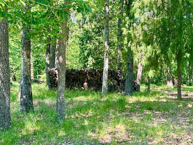 LOT202 Lakeview Dr, Trinidad, TX 75163
