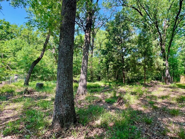 LOT202 Lakeview Dr, Trinidad, TX 75163
