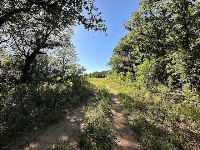 0000 County Road 428, Rising Star, TX 76471