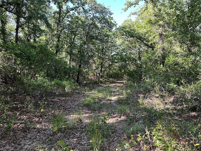 0000 County Road 428, Rising Star, TX 76471