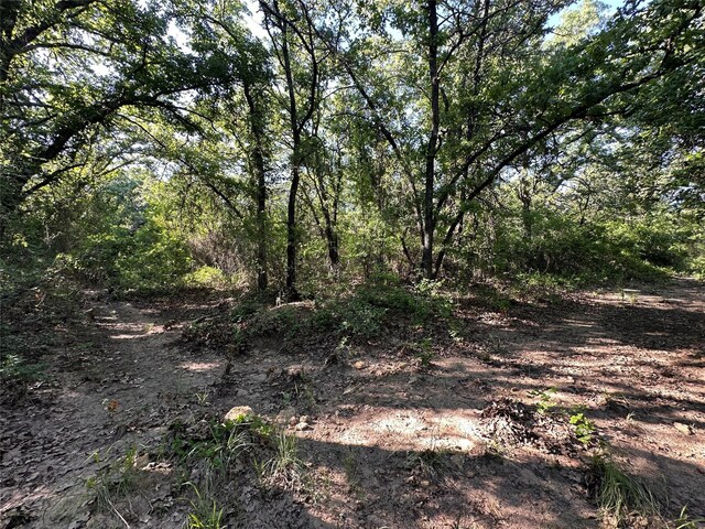 0000 County Road 428, Rising Star, TX 76471