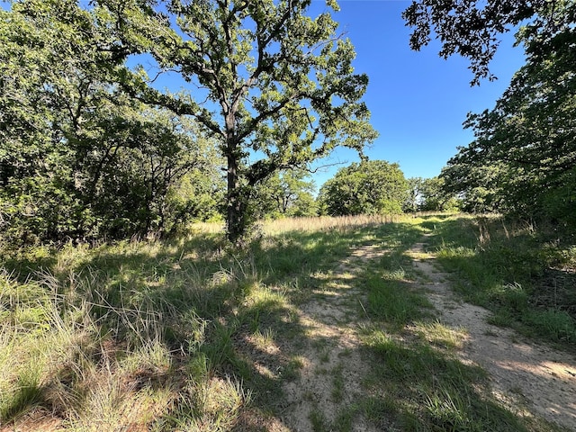 0000 County Road 428, Rising Star, TX 76471