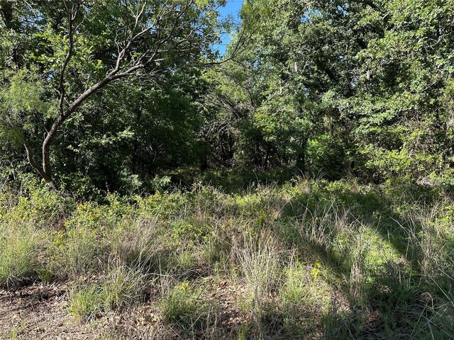 0000 County Road 428, Rising Star, TX 76471