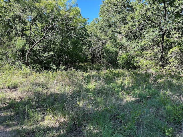 0000 County Road 428, Rising Star, TX 76471