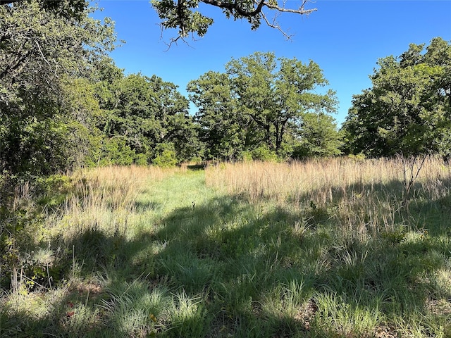 0000 County Road 428, Rising Star, TX 76471