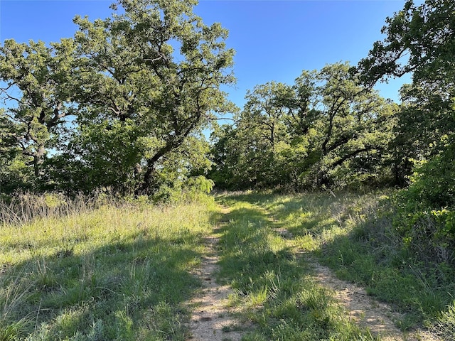 0000 County Road 428, Rising Star, TX 76471