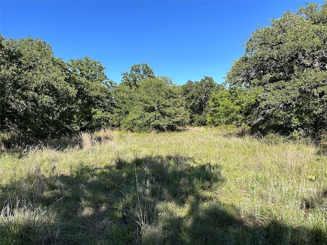 0000 County Road 428, Rising Star, TX 76471