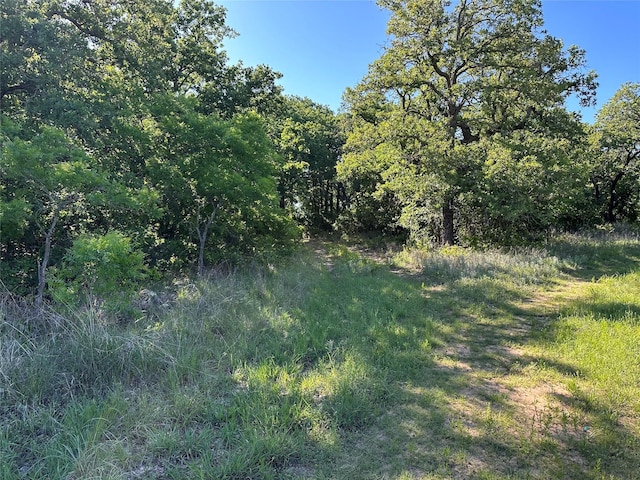 0000 County Road 428, Rising Star, TX 76471