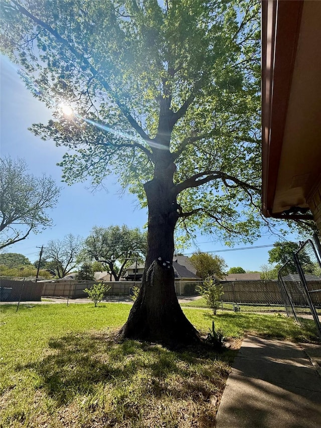 850 Oakbluff Dr, Lancaster, TX 75146 - view of yard