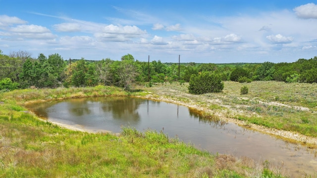 833 N Savage Creek Ln, Weatherford, TX 76087