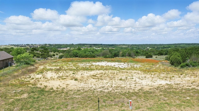 833 N Savage Creek Ln, Weatherford, TX 76087