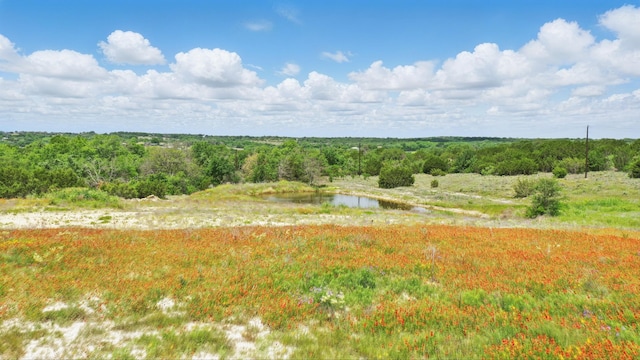 833 N Savage Creek Ln, Weatherford, TX 76087