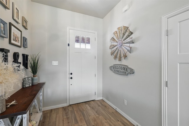 115 Lavender Ln, Springtown, TX 76082 - foyer featuring wood finished floors and baseboards