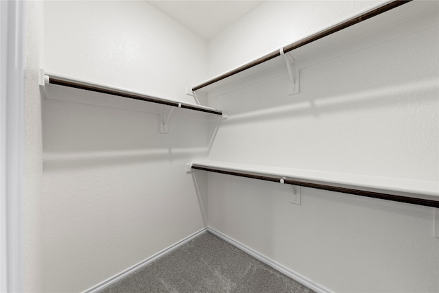 3105 Sedge Grass Dr, Melissa, TX 75454 - spacious closet with carpet floors