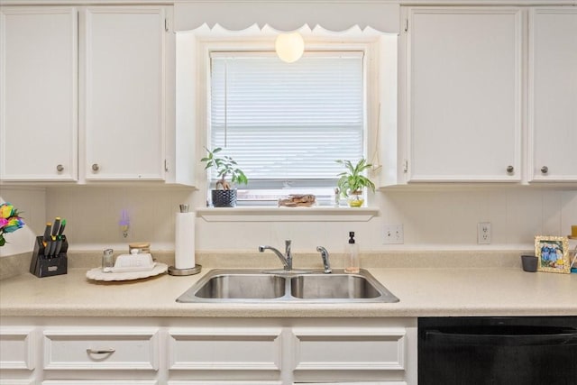208 Alamosa Dr, Hewitt, TX 76643 - kitchen featuring a sink, dishwasher, white cabinets, and light countertops