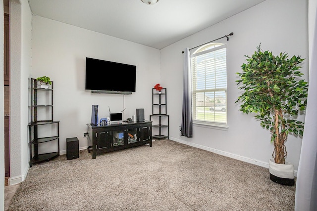 living room with carpet and baseboards