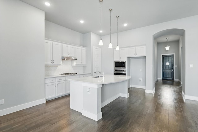 2805 Upland Trail Ln, Aubrey, TX 76227 - kitchen featuring stainless steel appliances, under cabinet range hood, arched walkways, a sink, and white cabinetry