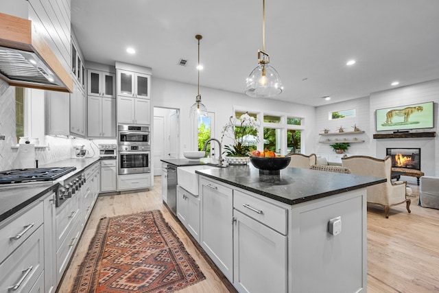 kitchen with a sink, premium range hood, stainless steel appliances, light wood-style flooring, and a center island with sink