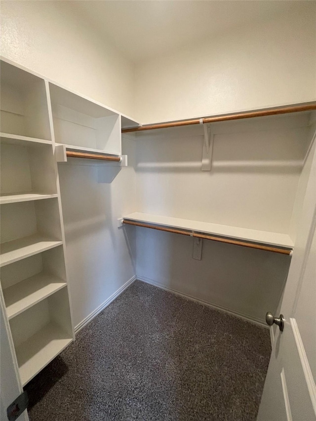 2829-2833 Peony Dr, Sherman, TX 75092 - view of spacious closet