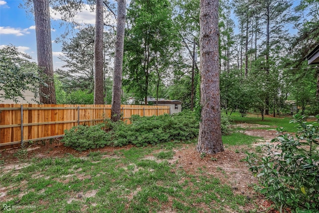 817 S Spruce St, Vivian, LA 71082 - view of yard